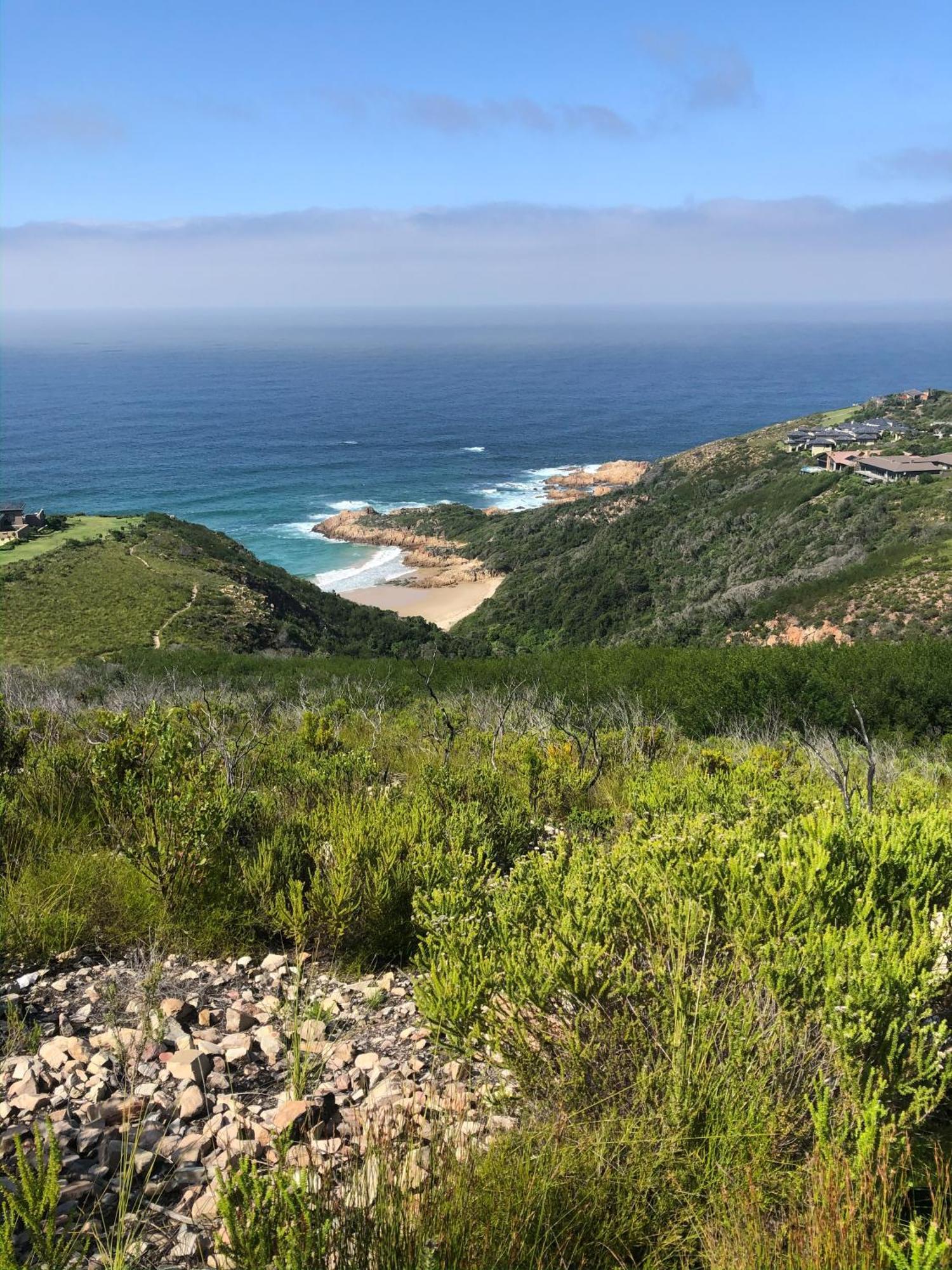 Pezula Nature Retreat Knysna Bagian luar foto View of the beach at the headland of the Knysna Heads